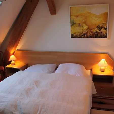 Rustic-style In With Garden *