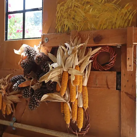 Rustic-style In With Garden Buschenhagen