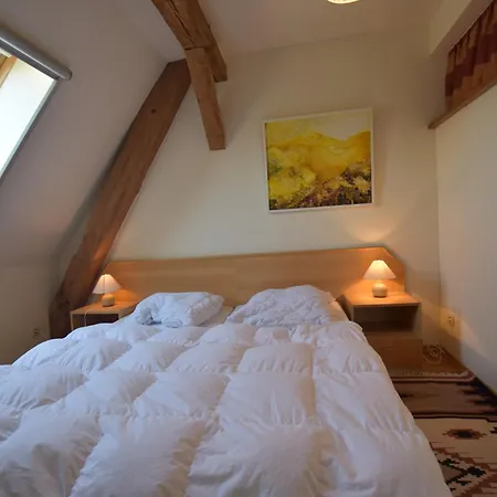 Rustic-style In With Garden