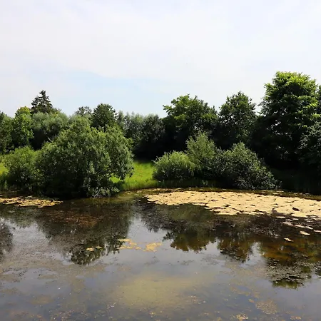 Rustic-style In With Garden *